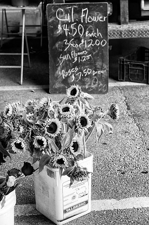Baltimore Farmer's Market